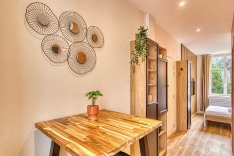 L'Oasis - Bel appart climatisé quartier point du jour Lyon 5 Apartment in Lyon