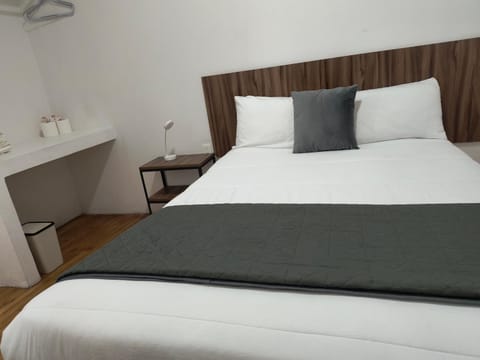 Hostal Schultz Bed and Breakfast in Mexico City