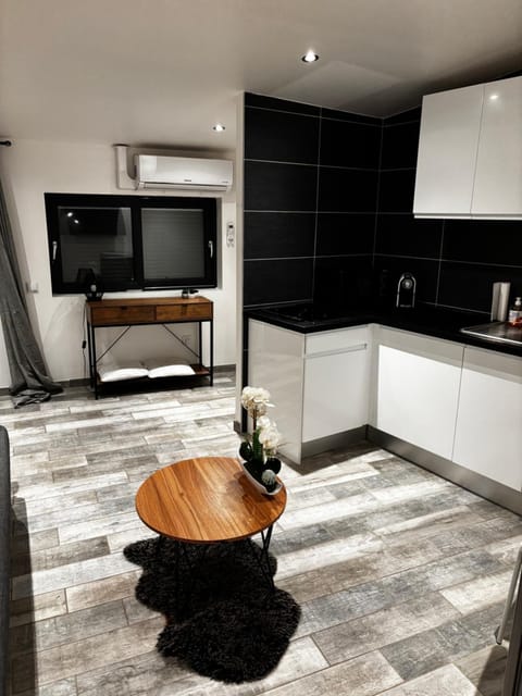 Studio confortable Apartment in Givors