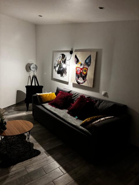 Studio confortable Apartment in Givors