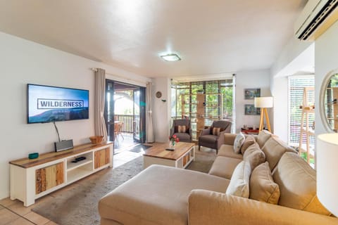 TV and multimedia, Living room, Seating area, air conditioner