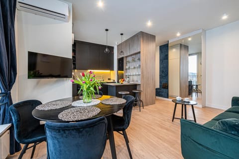 TV and multimedia, Kitchen or kitchenette, Living room, Seating area, Dining area, Evening entertainment, air conditioner