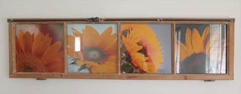 Residence ai Tovi Apartment in Ledro