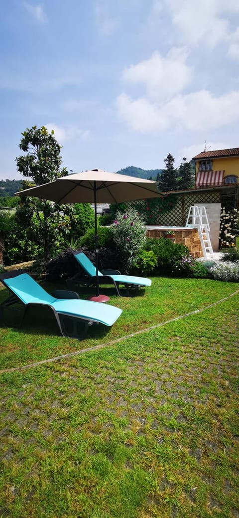 Natural landscape, Garden, Swimming pool, sunbed