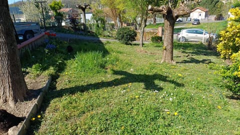 Neighbourhood, Garden, Garden view, Parking