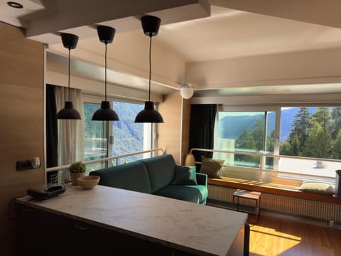 View (from property/room), Living room, Seating area