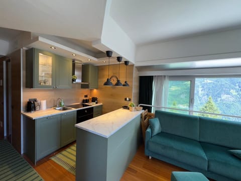 Kitchen or kitchenette, Living room, Seating area