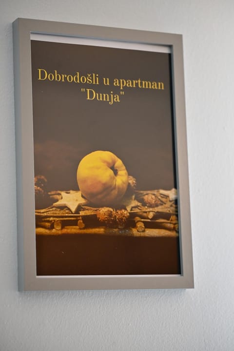 Apartman Dunja Apartment in Serbia