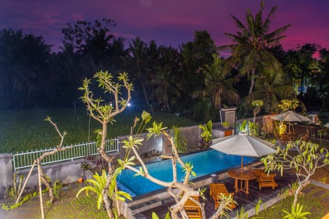 Night, Natural landscape, Garden, Garden view, Pool view, Swimming pool