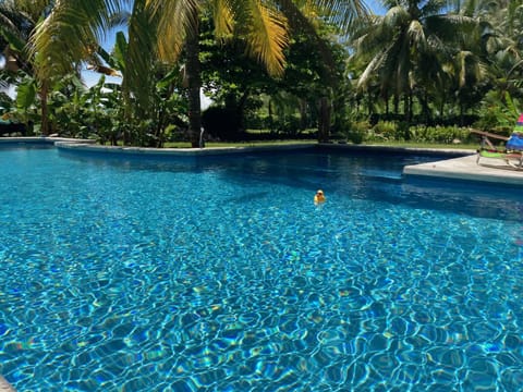 Garden, Garden view, Pool view, Swimming pool