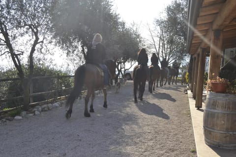 Horse-riding, Horse-riding