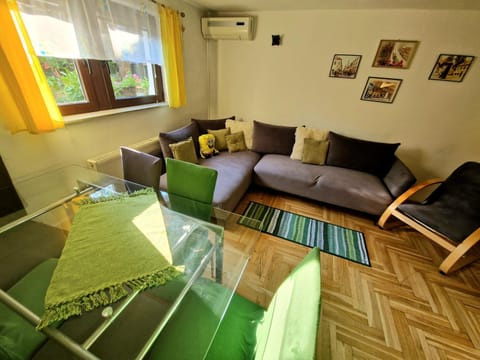 Living room, Seating area, air conditioner