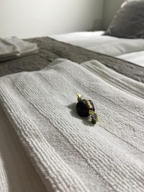 Face 5 center SUBOTICA Apartment in Vojvodina