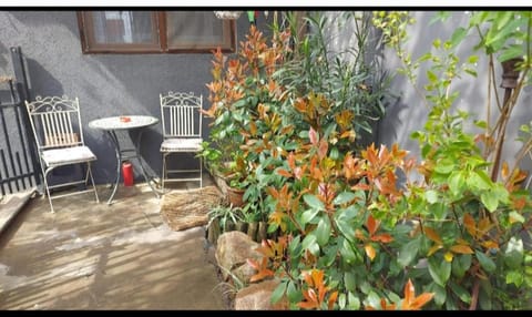 Studio The Cozy Corner Vacation rental in Timisoara