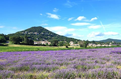 Day, Natural landscape, Mountain view