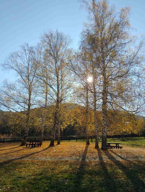 Spring, Day, Natural landscape