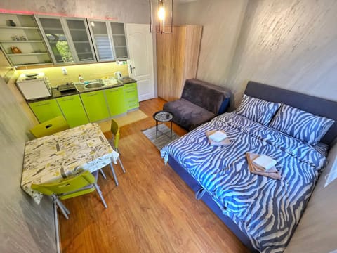 Bed, Kitchen or kitchenette, Living room, Photo of the whole room, Seating area, Dining area, Bedroom
