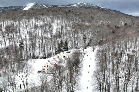 Trailside Village #1 - Slopeside 1BR with Hot Tub and Sauna, Ski In Ski Out, BBQ House in Killington