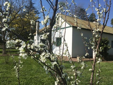 Property building, Garden view