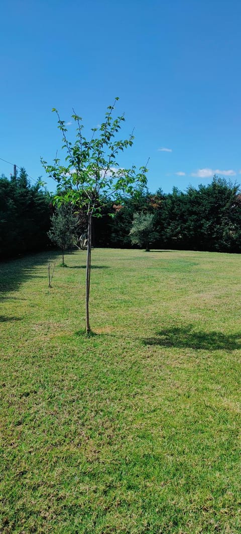 Cosy Garden Bungalow Apartment in Messenia