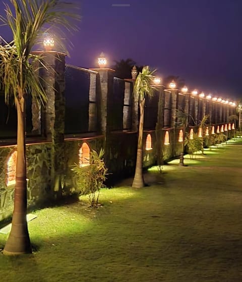 Night, Garden