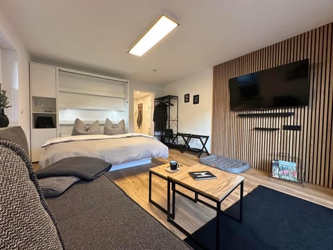 Bed, TV and multimedia, Living room, Photo of the whole room, Seating area, Bedroom