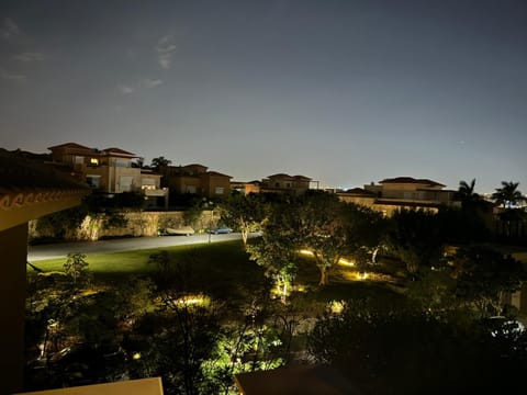 Night, Garden view