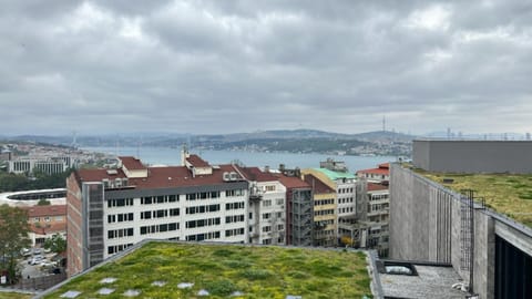 Bird's eye view, Sea view