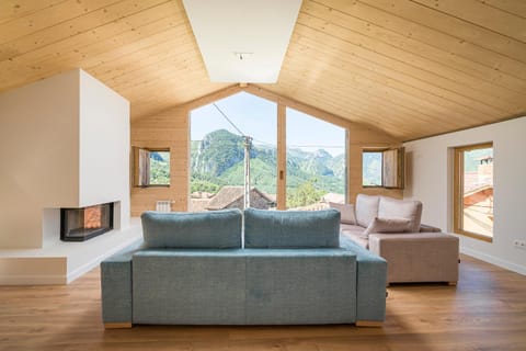 Living room, Mountain view, fireplace