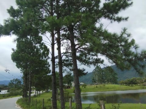 Natural landscape, Lake view, River view