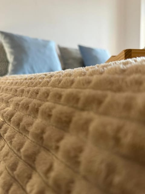 Avenida Centro Guixar Apartment in Vigo