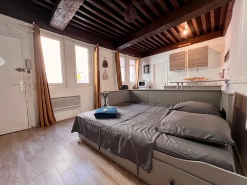 Appartement 2 prsn Au pied de la Citadelle Apartment in Besançon