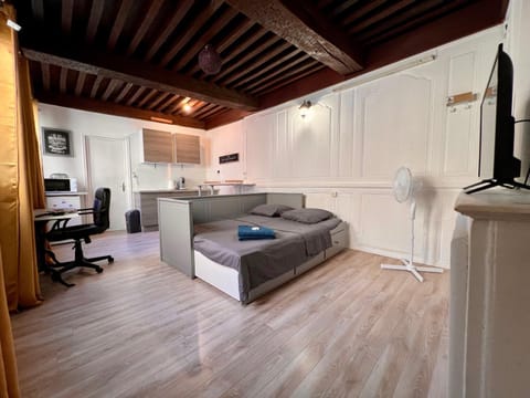 Appartement 2 prsn Au pied de la Citadelle Apartment in Besançon