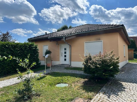 Property building, Day, Garden
