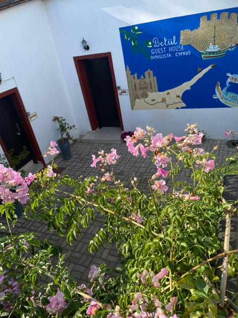 Day, Garden, Garden view