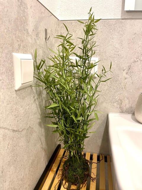 Goldstadt Cozy Smart Suite - City Apartament Schlössle Apartment in Pforzheim