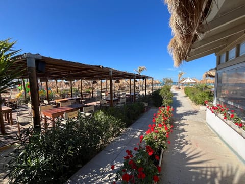 Property building, Spring, Day