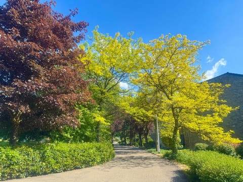 Appart Jenny Apartment in Wallonia, Belgium