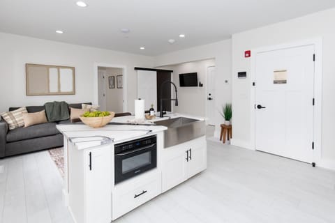 Adjoining Condominium Units Sleeps 12 in Downtown Sandusky! House in Sandusky