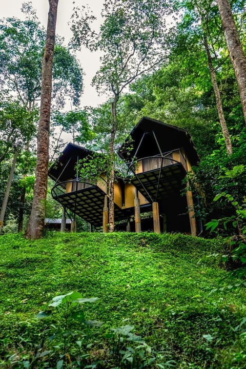 Property building, Day