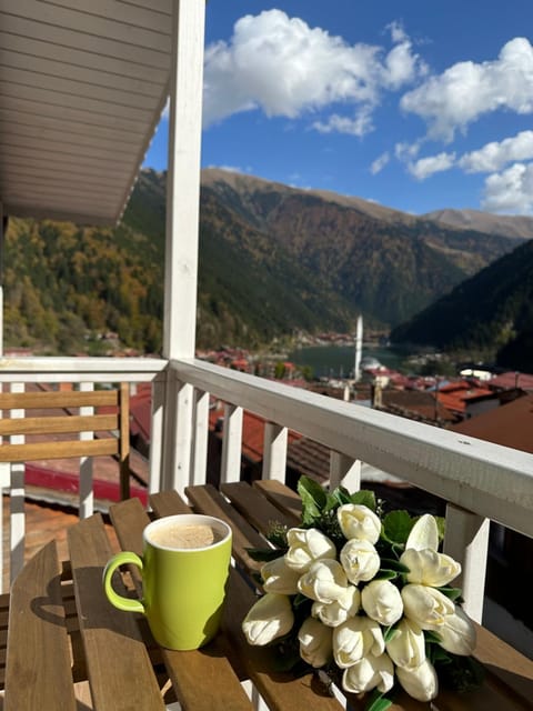 Day, Natural landscape, Balcony/Terrace