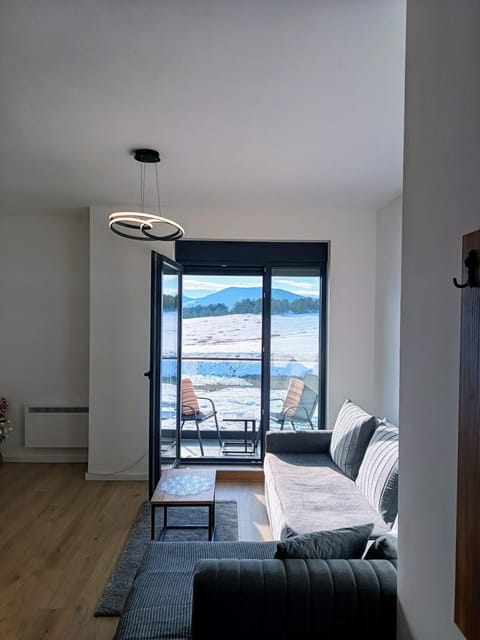 View (from property/room), Balcony/Terrace, Living room, Seating area