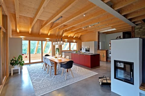 Kitchen or kitchenette, Dining area, fireplace, oven
