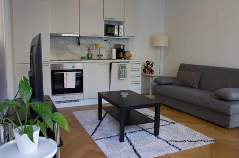 Living room, kitchen