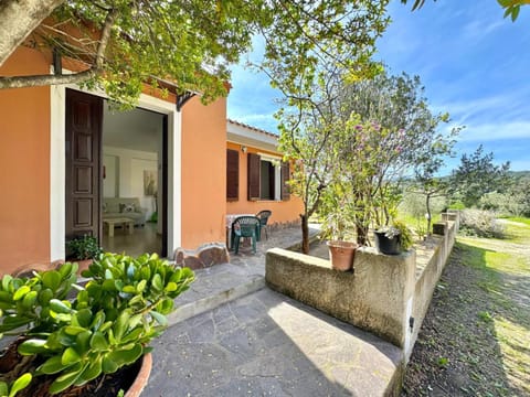 Property building, Garden view