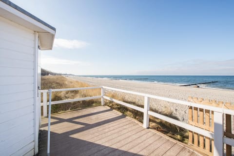 Beach, Area and facilities