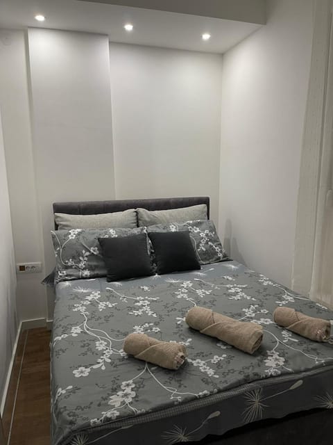 Stan na Novom Bubnju Apartment in Serbia