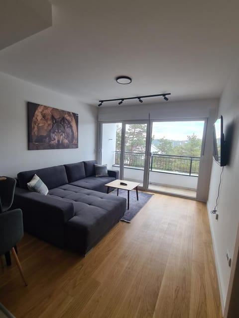 Kota 33 Divčibare Apartment in Zlatibor District, Serbia