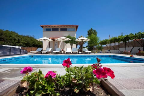 Garden, Swimming pool