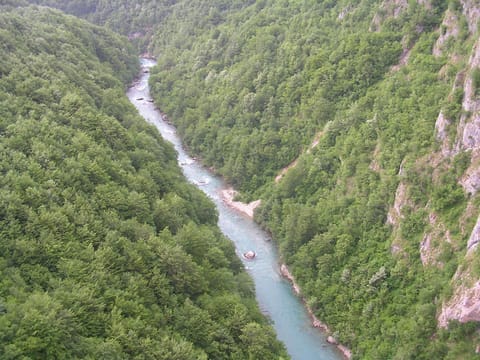 Natural landscape